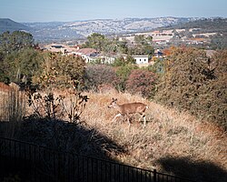 Folsom Hills, CA